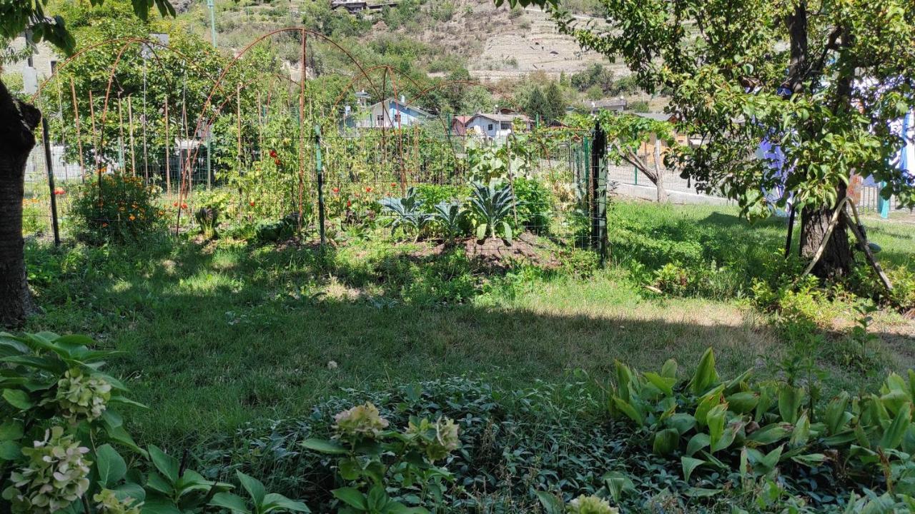 Casabella Silvana Sarre Kültér fotó
